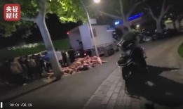 沧州爆料青县事件视频最新,沧州爆料引发社会关注